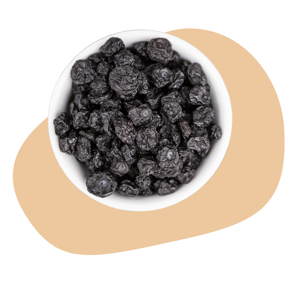 DRIED BLUEBERRIES