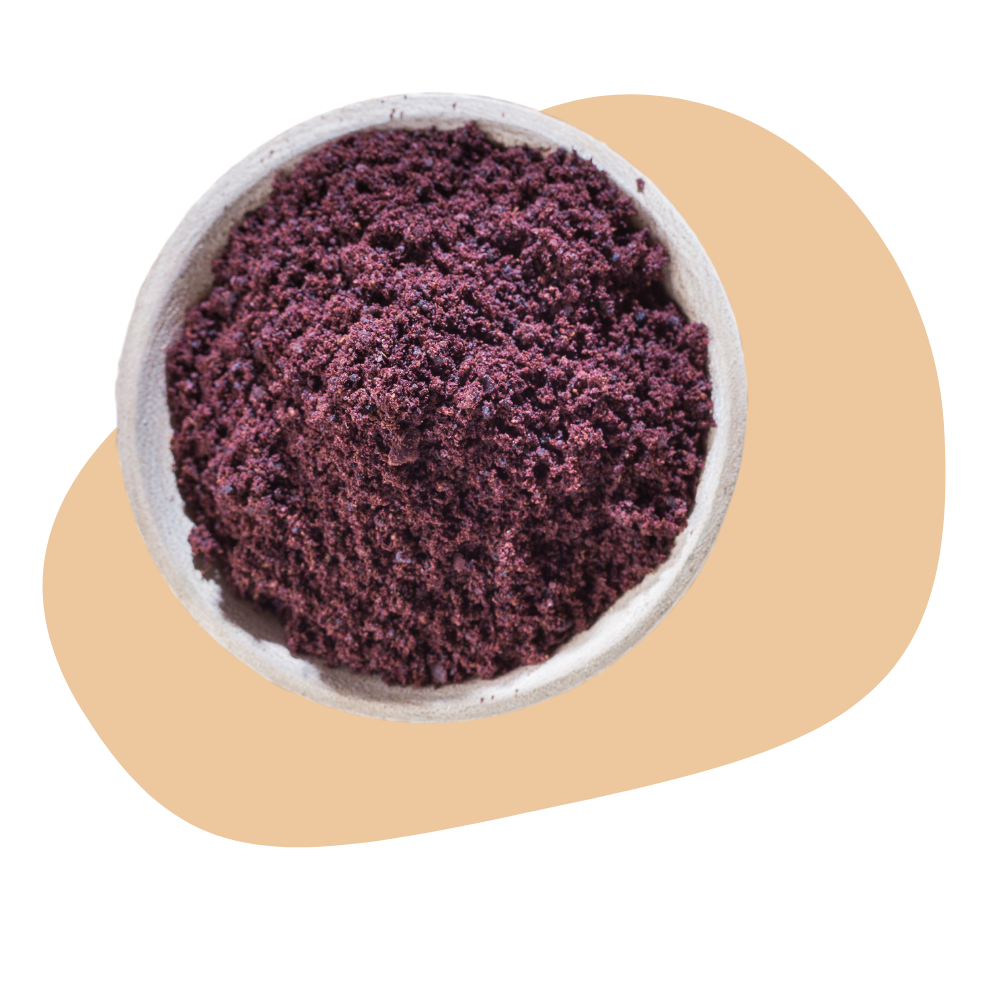 ELDERBERRY POWDER