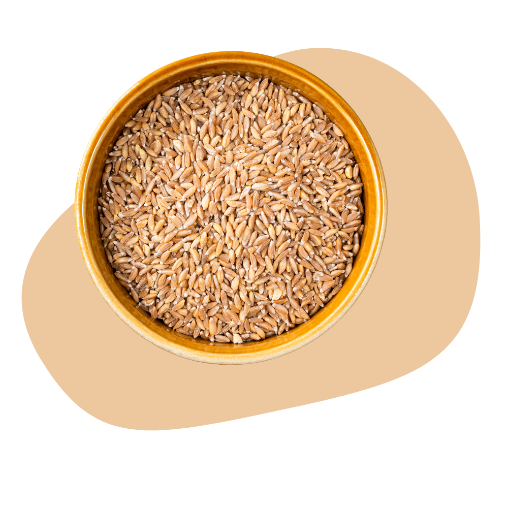 FARRO