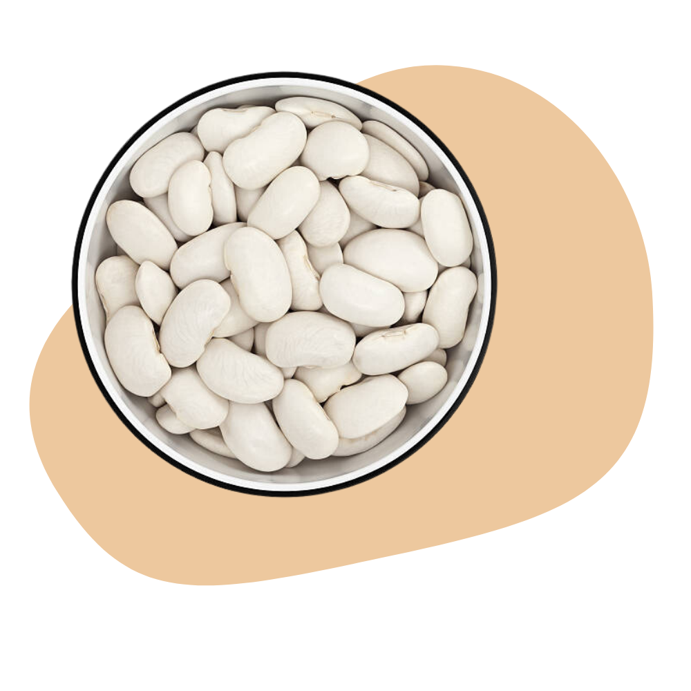 GREAT NORTHERN BEANS