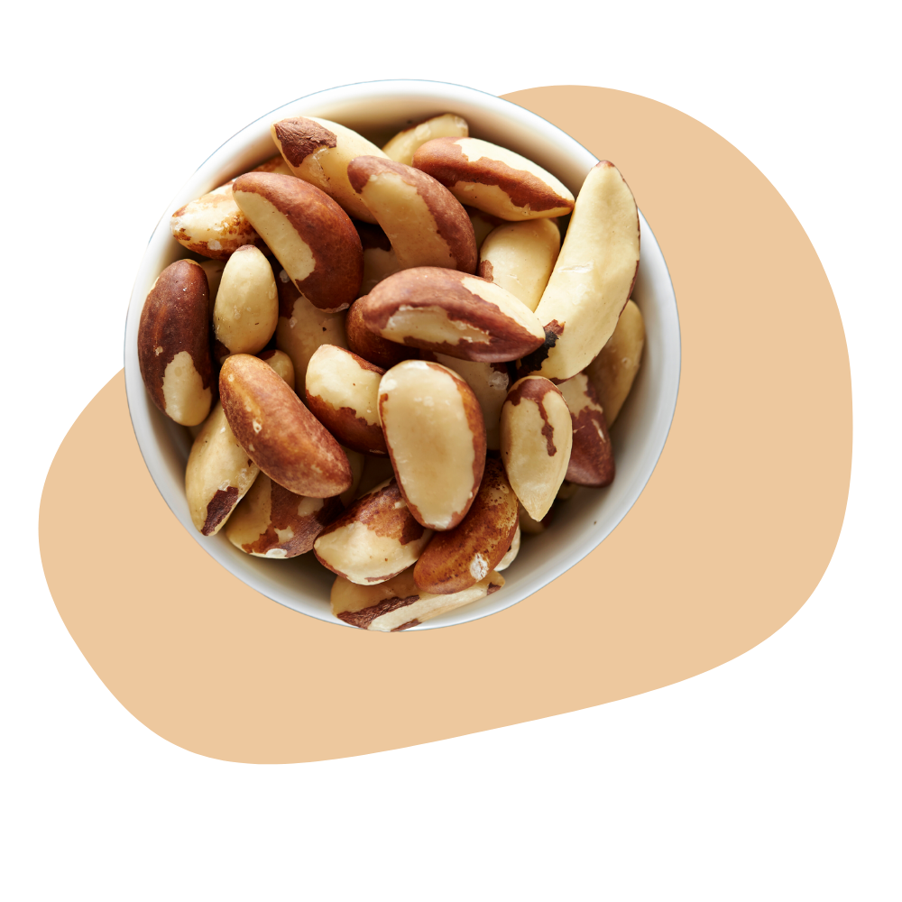 BRAZIL NUT