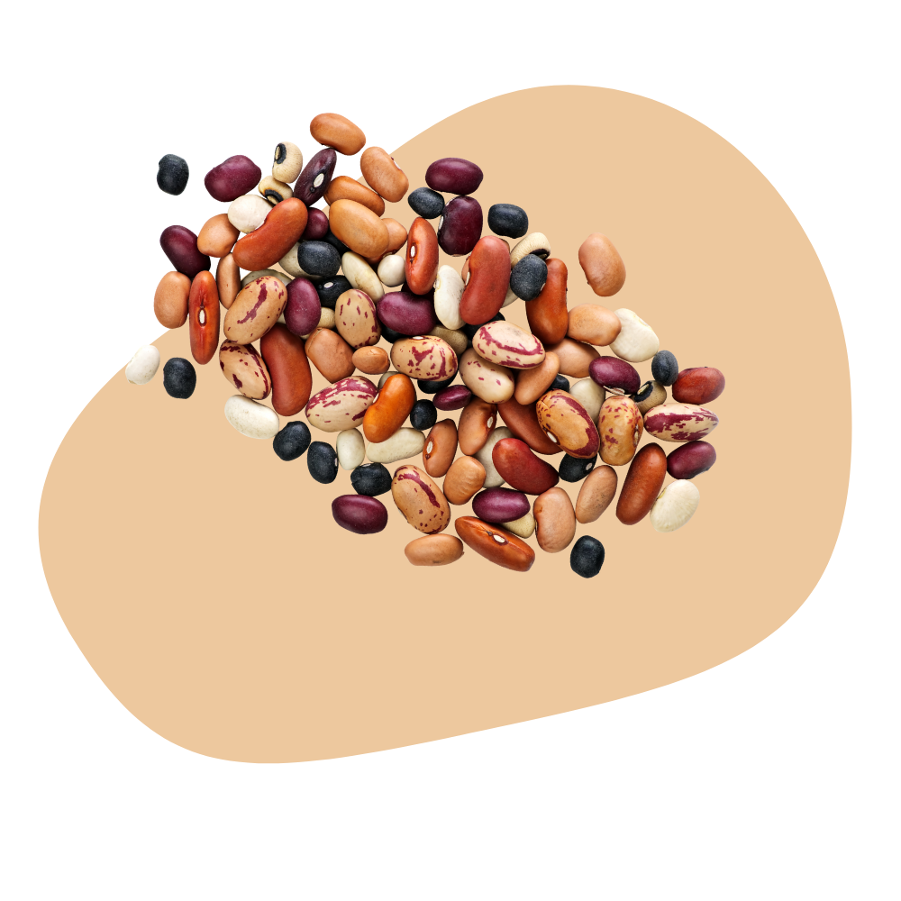 CHILI BEAN MIX