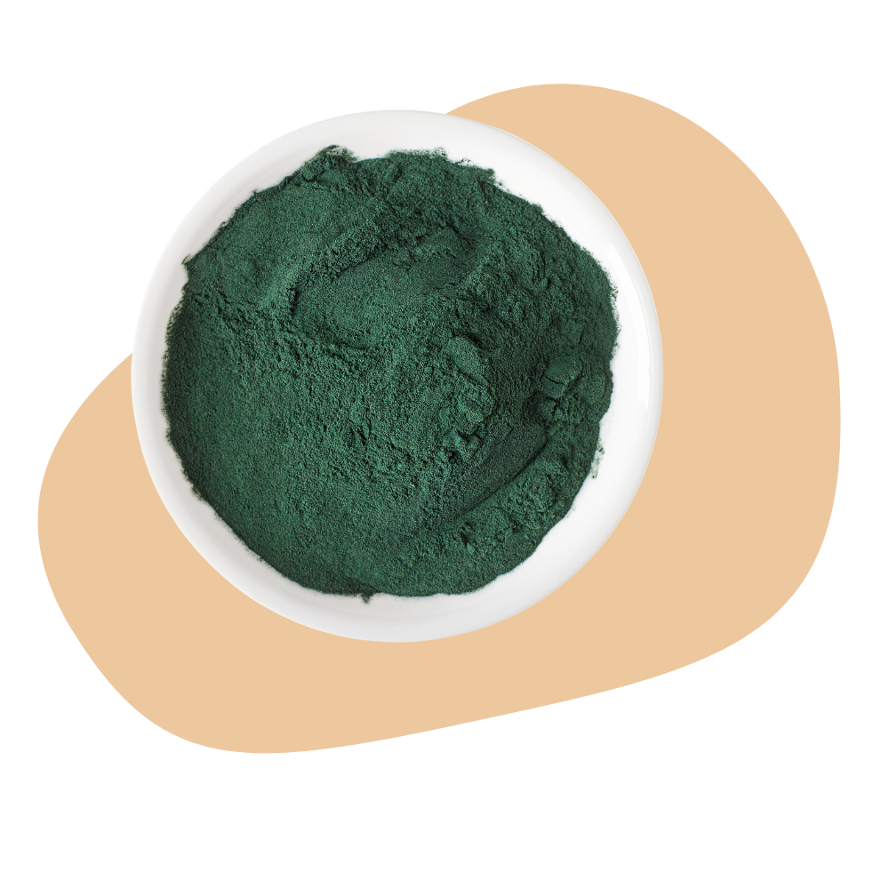 CHLORELLA POWDER