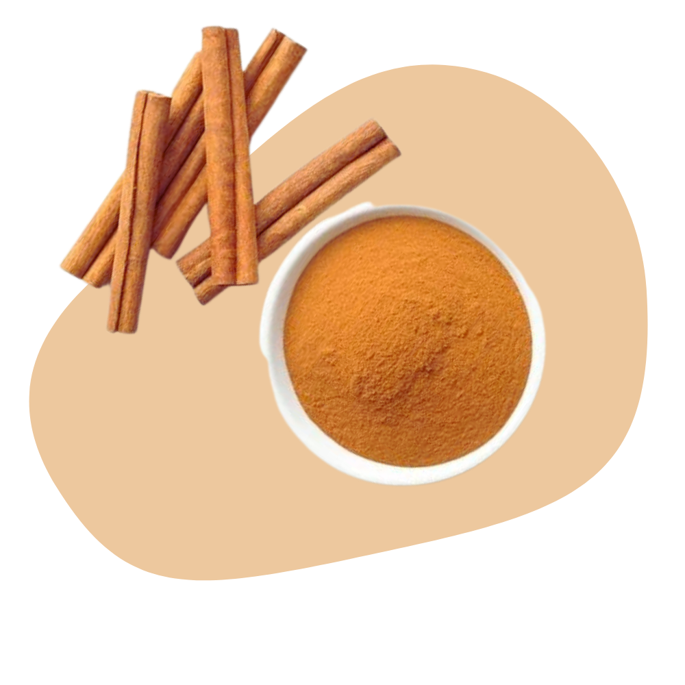 CEYLON CINNAMON