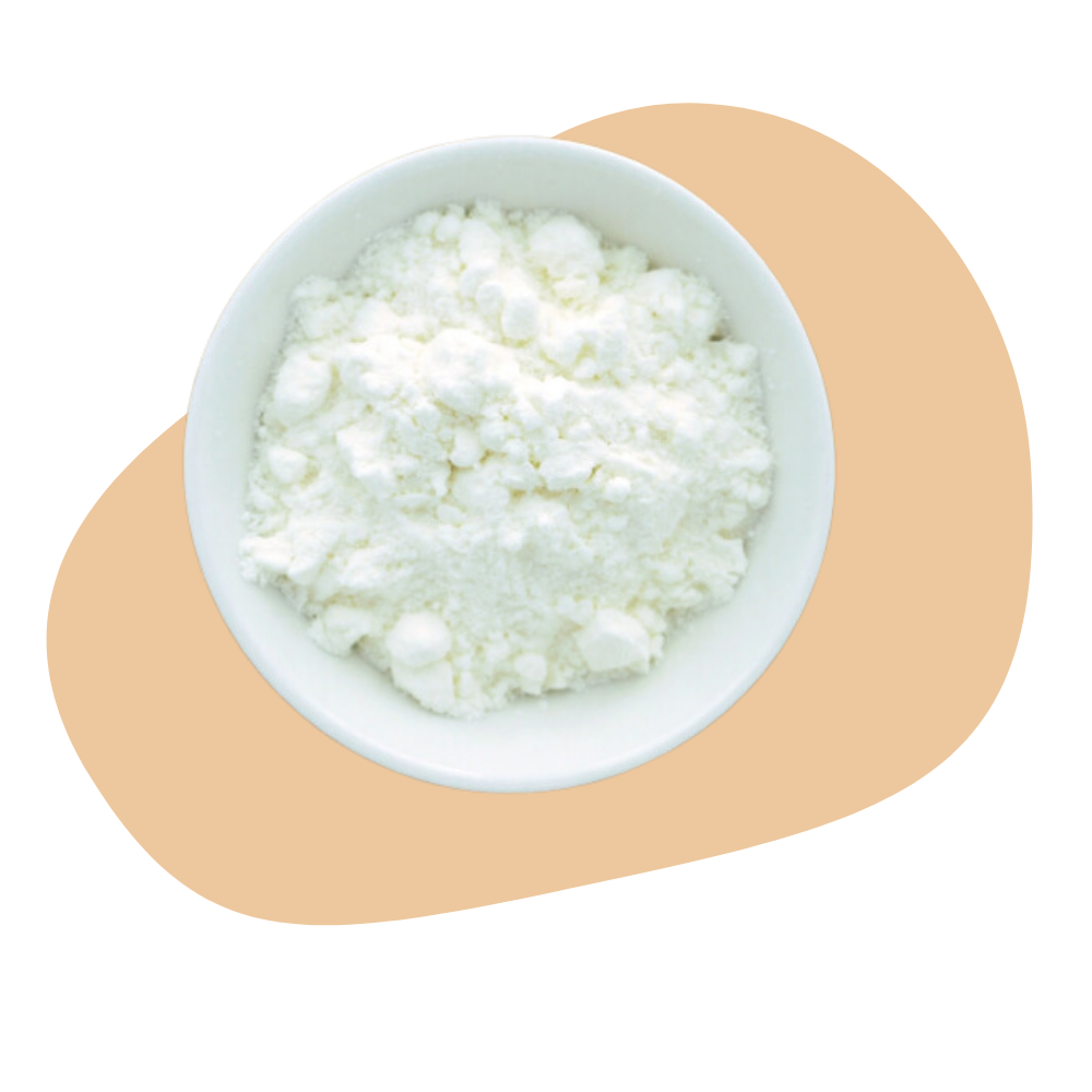 COCONUT MILK POWDER