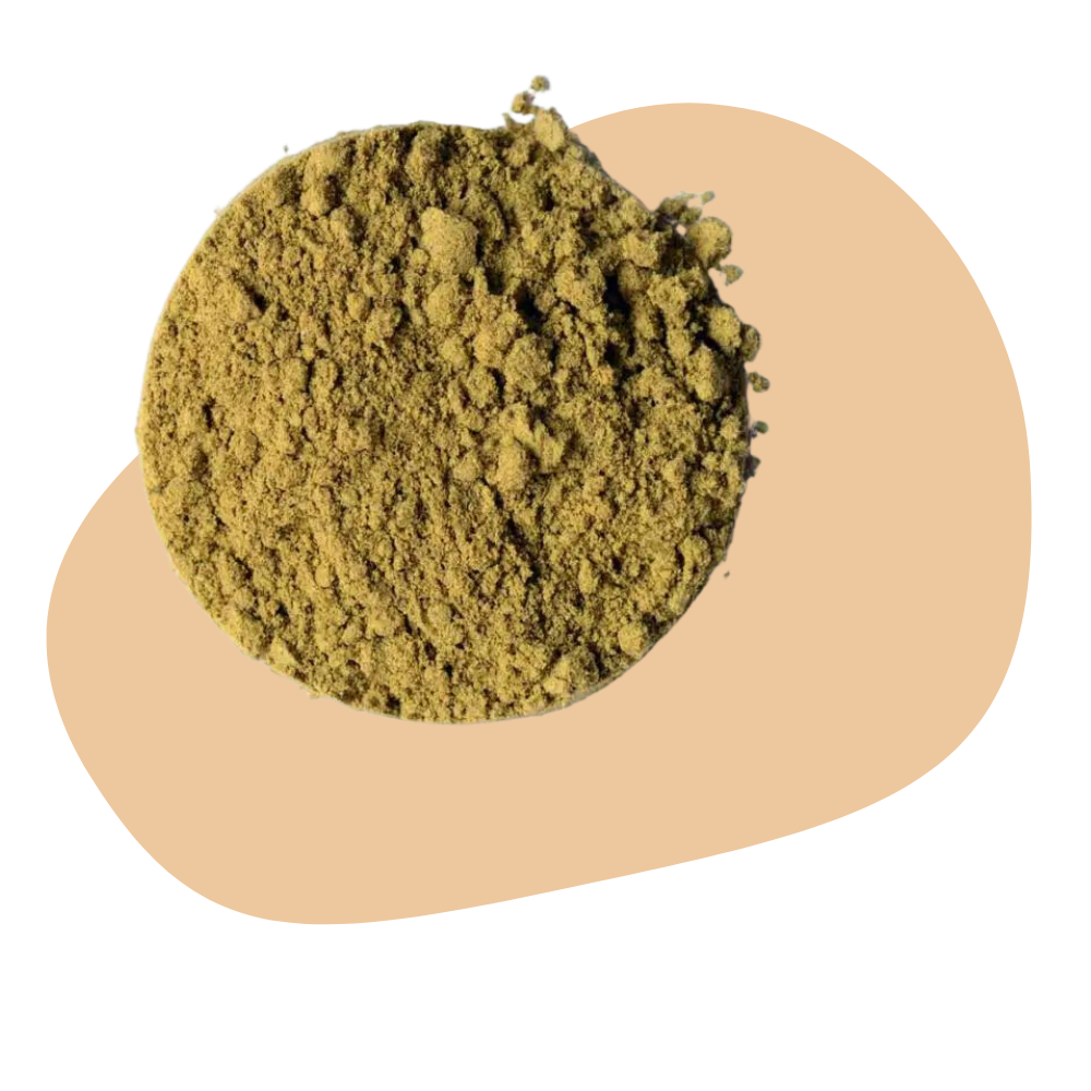 HEMP PROTEIN