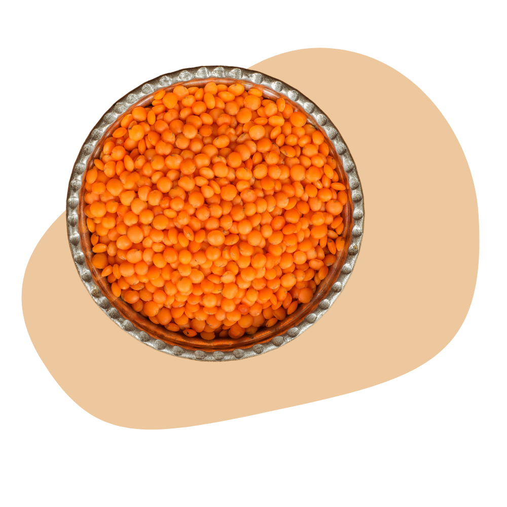 RED LENTILS