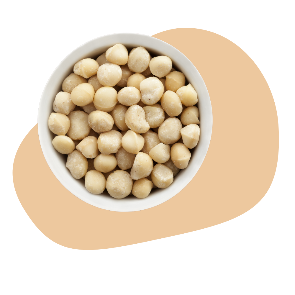 MACADAMIA NUTS