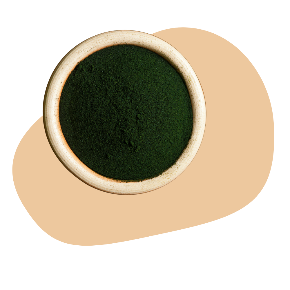 MORINGA POWDER