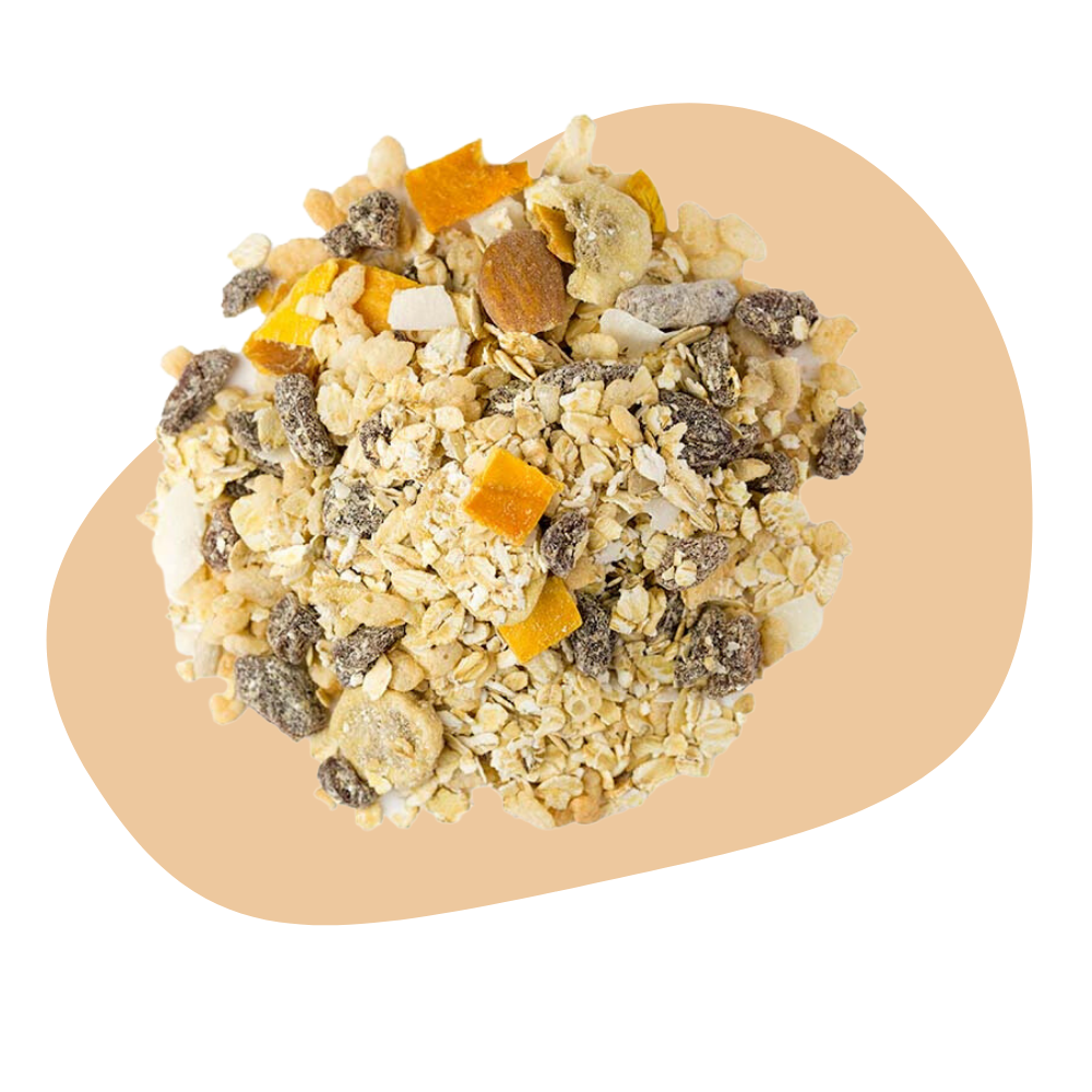 MUESLI