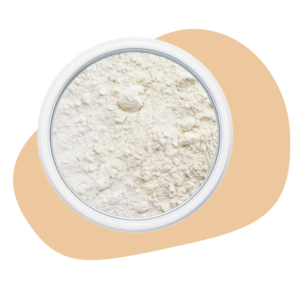 ONION POWDER