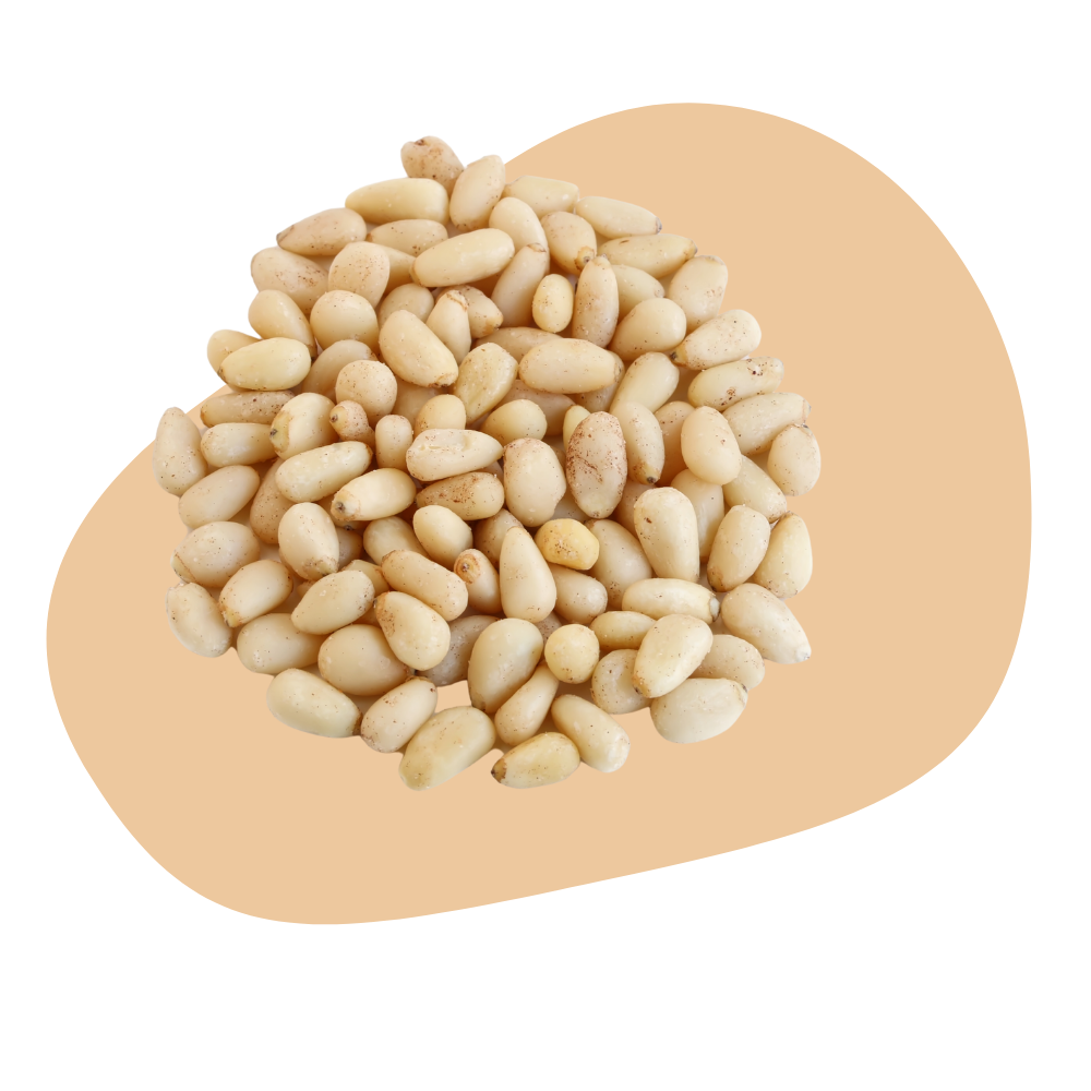 PINE NUTS