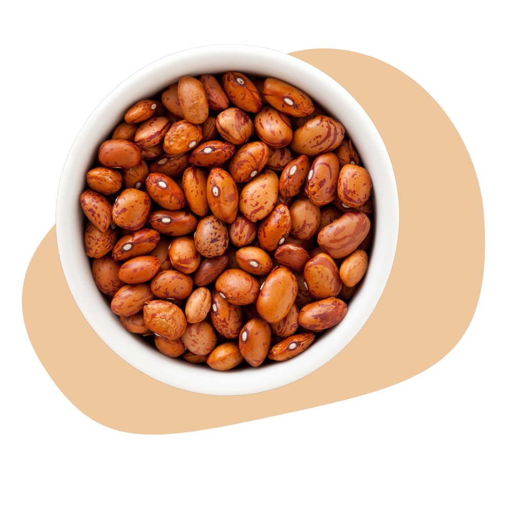 PINTO BEANS