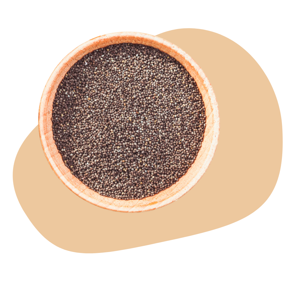 POPPY SEEDS