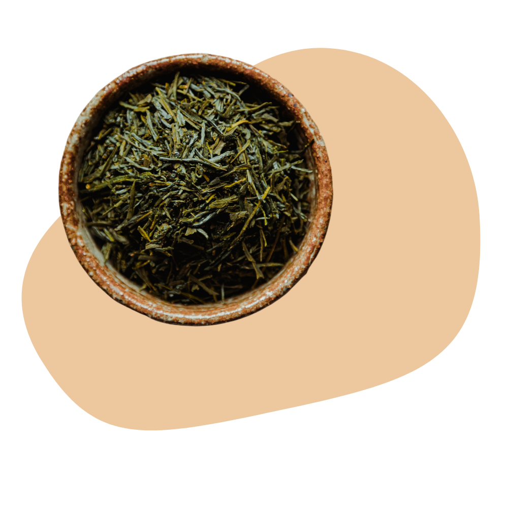 SENCHA GREEN TEA