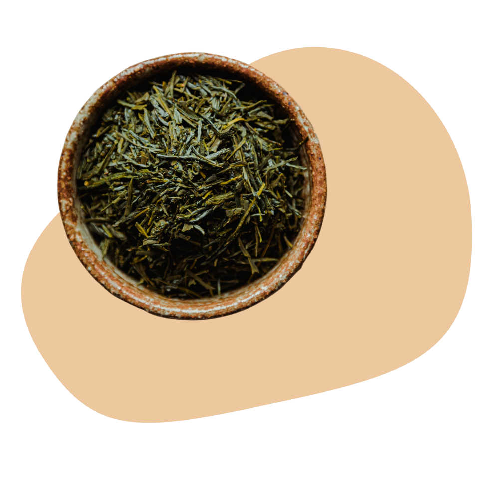 SENCHA GREEN TEA