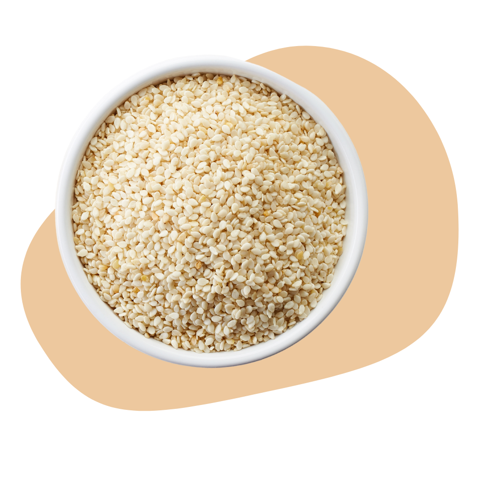 SESAME SEEDS