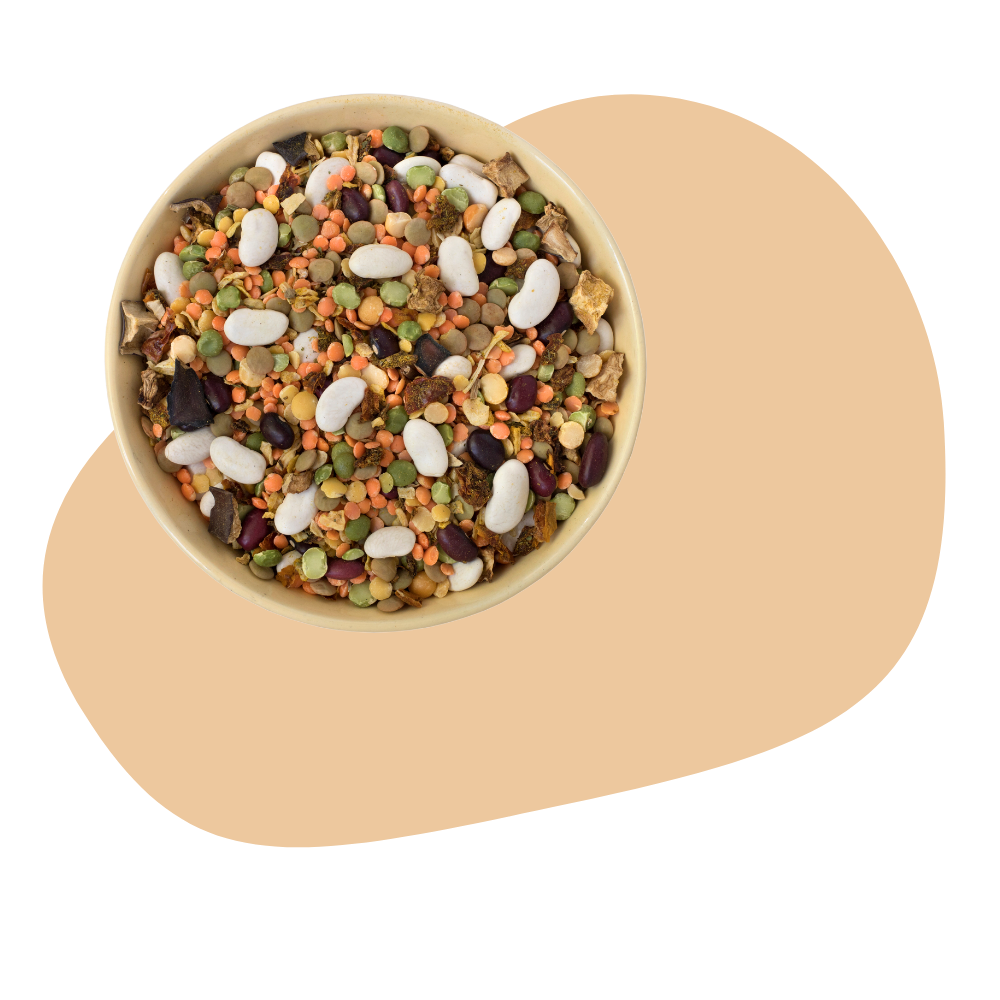 MIXED BEAN SOUP MIX