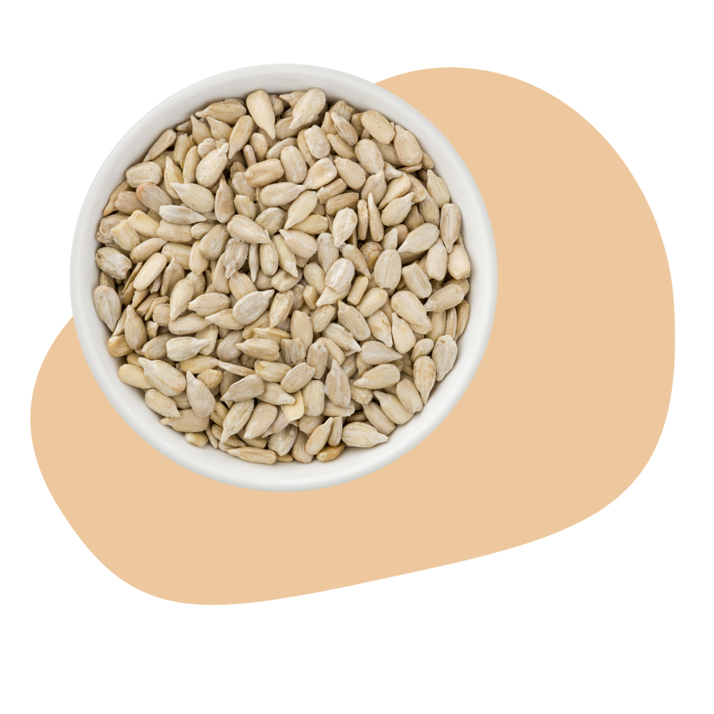 SUNFLOWER SEEDS