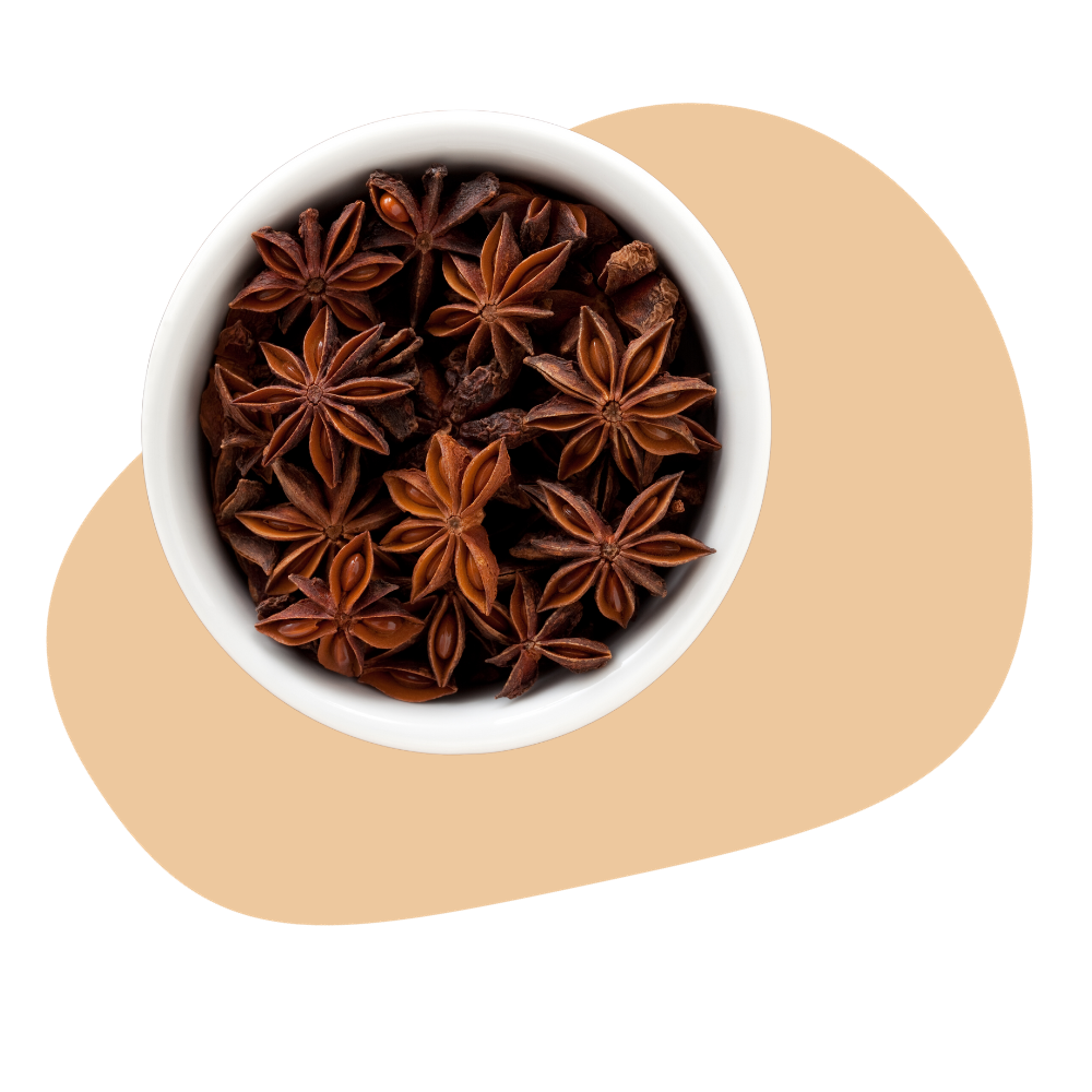 ANISE