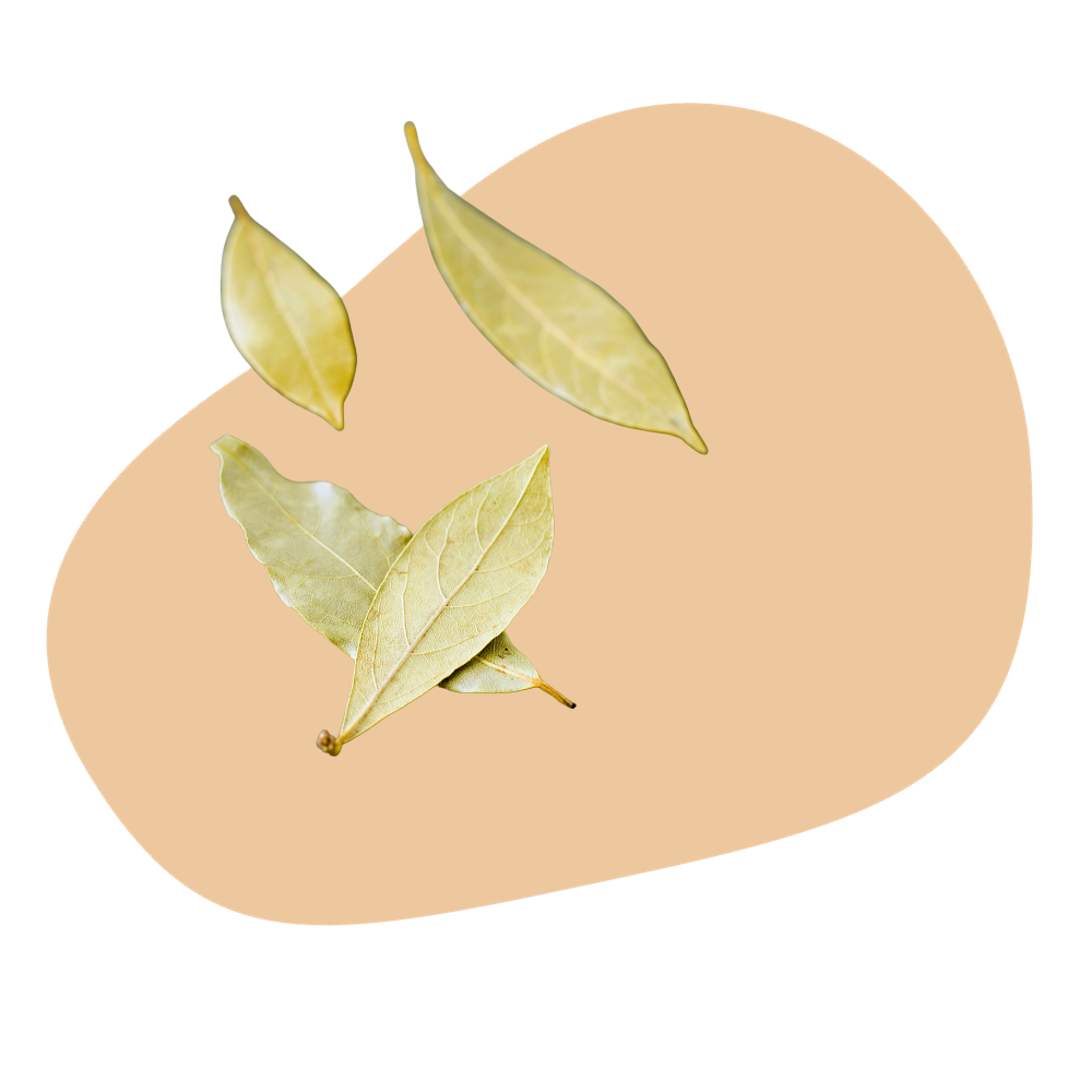 BAY LEAVES