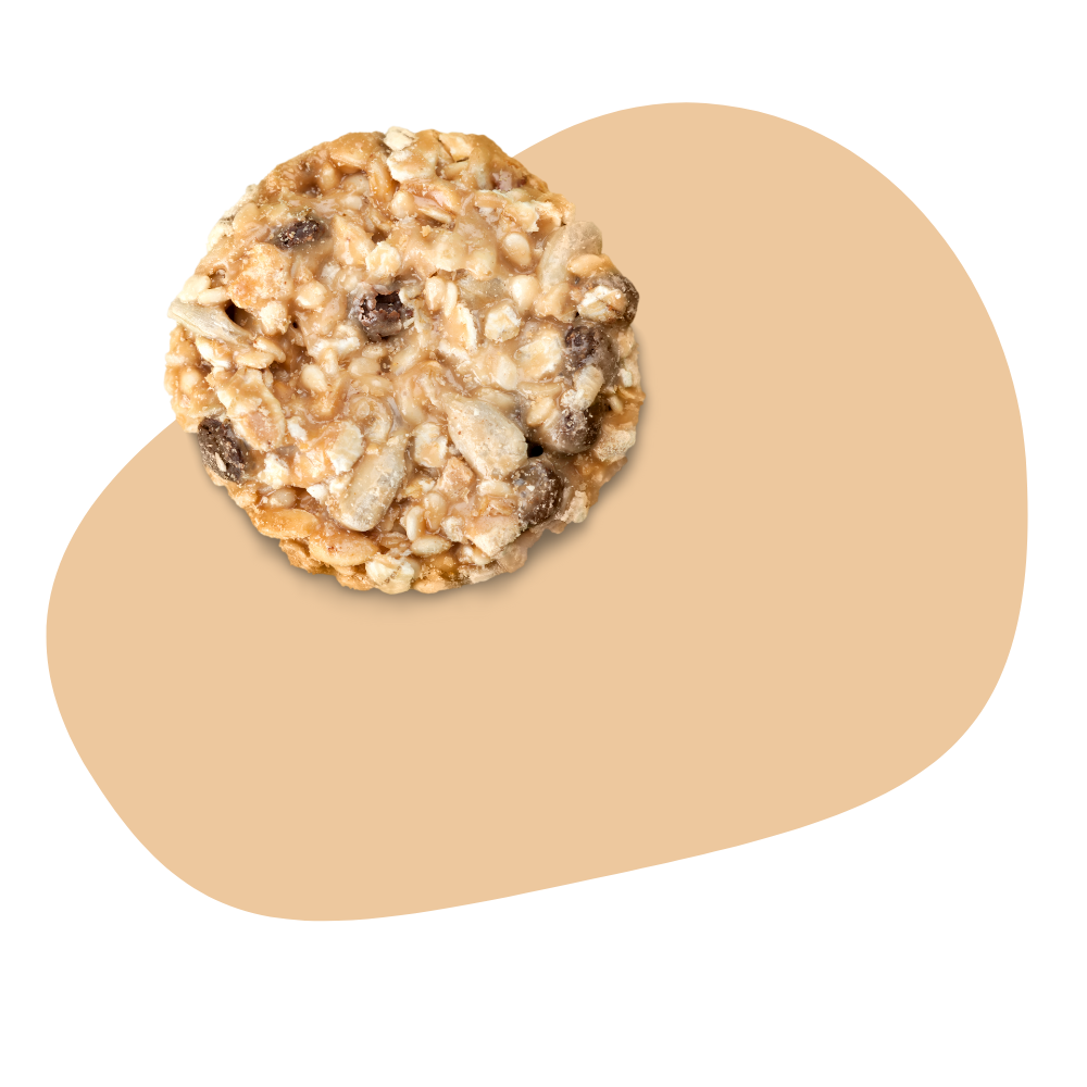 Superfood Oatmeal Cookie