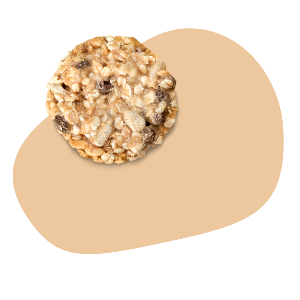 Superfood Oatmeal Cookie